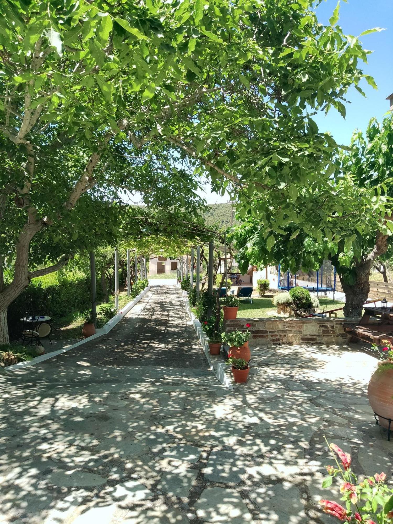 Alexandra Studios Stafylos Exterior foto